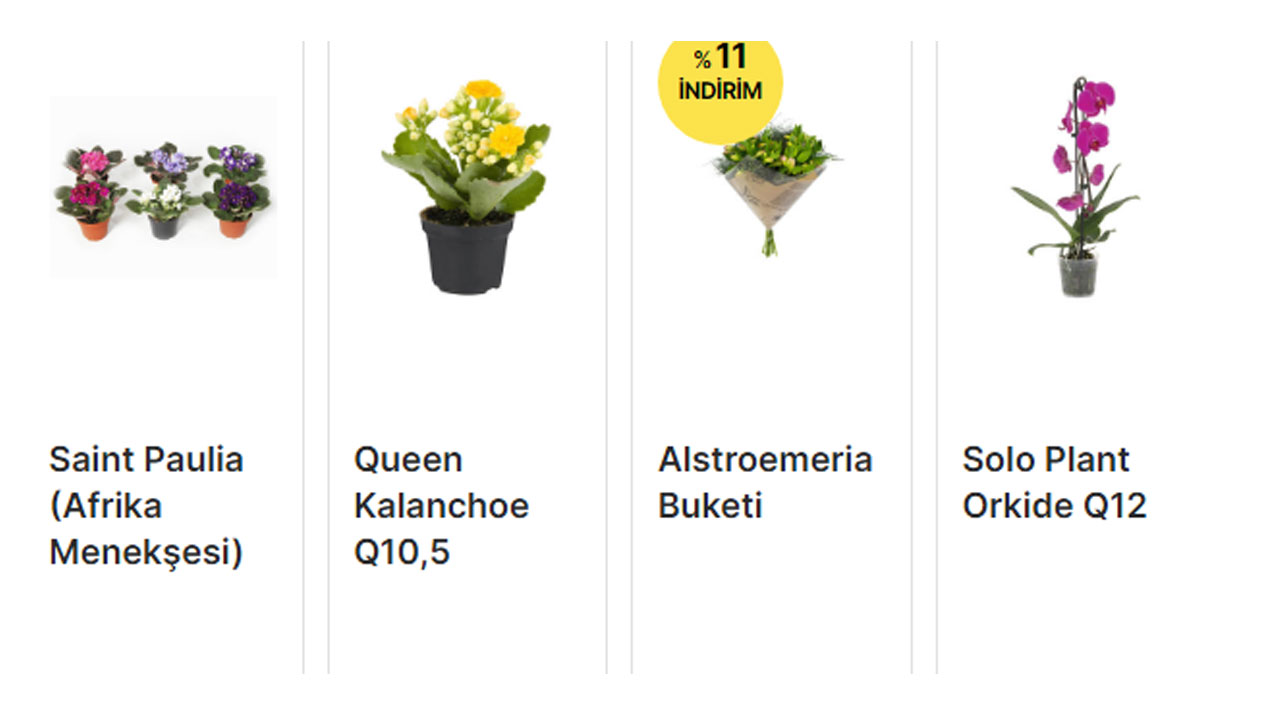  Anneler Günü çiçeği ne kadar, en ucuz nereden alınır? İşte A101, ŞOK, MİGROS, Carrefoursa 6 Mayıs 2022 fiyat listesi