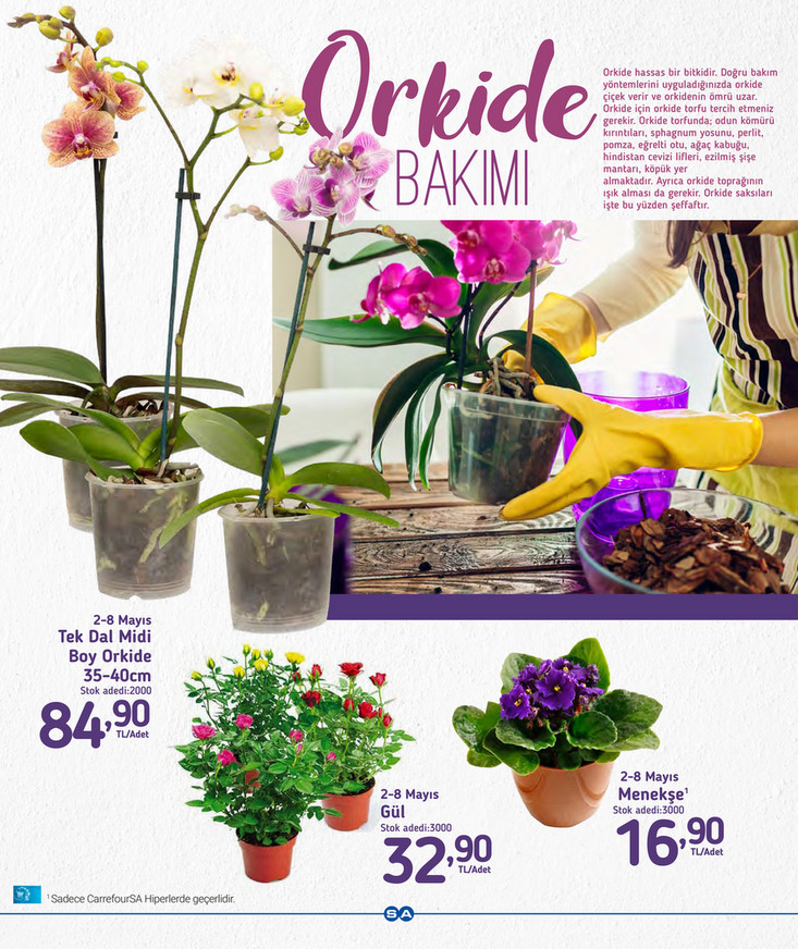 Anneler Günü çiçeği ne kadar, en ucuz nereden alınır? İşte A101, ŞOK, MİGROS, Carrefoursa 6 Mayıs 2022 fiyat listesi