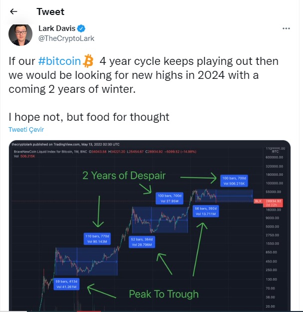 Bitcoin deki sert düşüşün seyri: Uzun kış uykusu sonrası rekor kıracak 