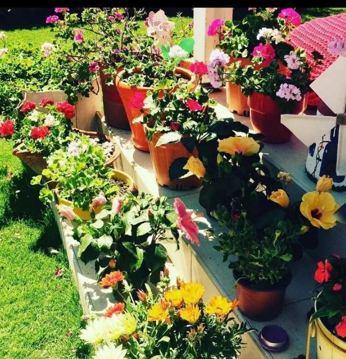 Hülya Darcan ın Çeşme de bulunan kırmızı panjurlu lüks evi! 