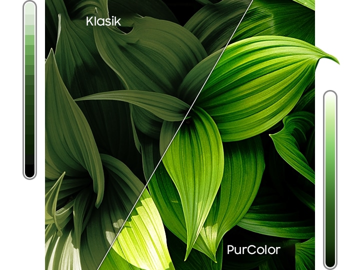 En ucuz Samsung LED TV nereden alınır? İşte o adresler! 13 Eylül 2022 fiyat listesi..