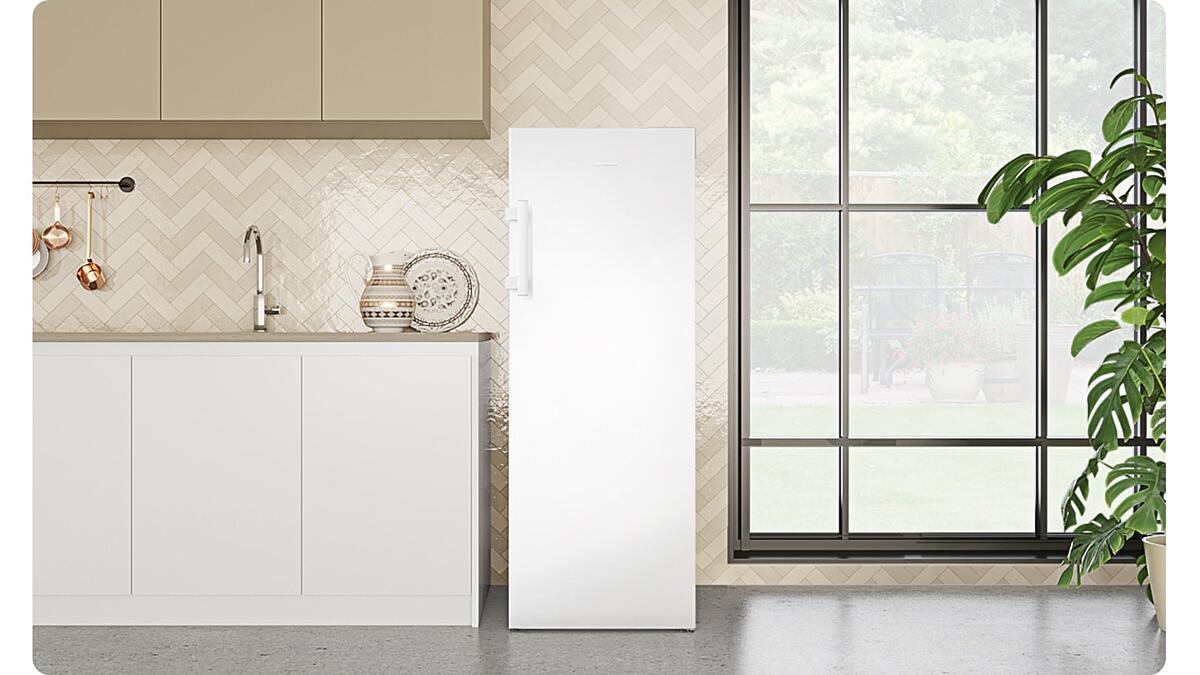 En uygun fiyatlı Samsung derin dondurucu kaç TL? Özellikleri neler? 1 Şubat 2023 Fiyat Listesi