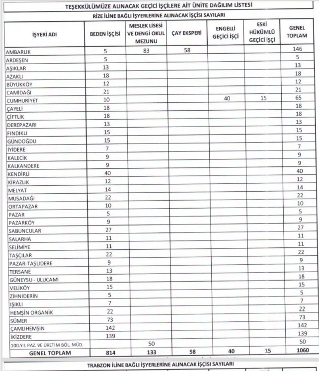 ÇAYKUR kamu işçisi olarak 1365 kişi alıyor! Kadro ve başvuru şartları İŞKUR üzerinden açıklandı!
