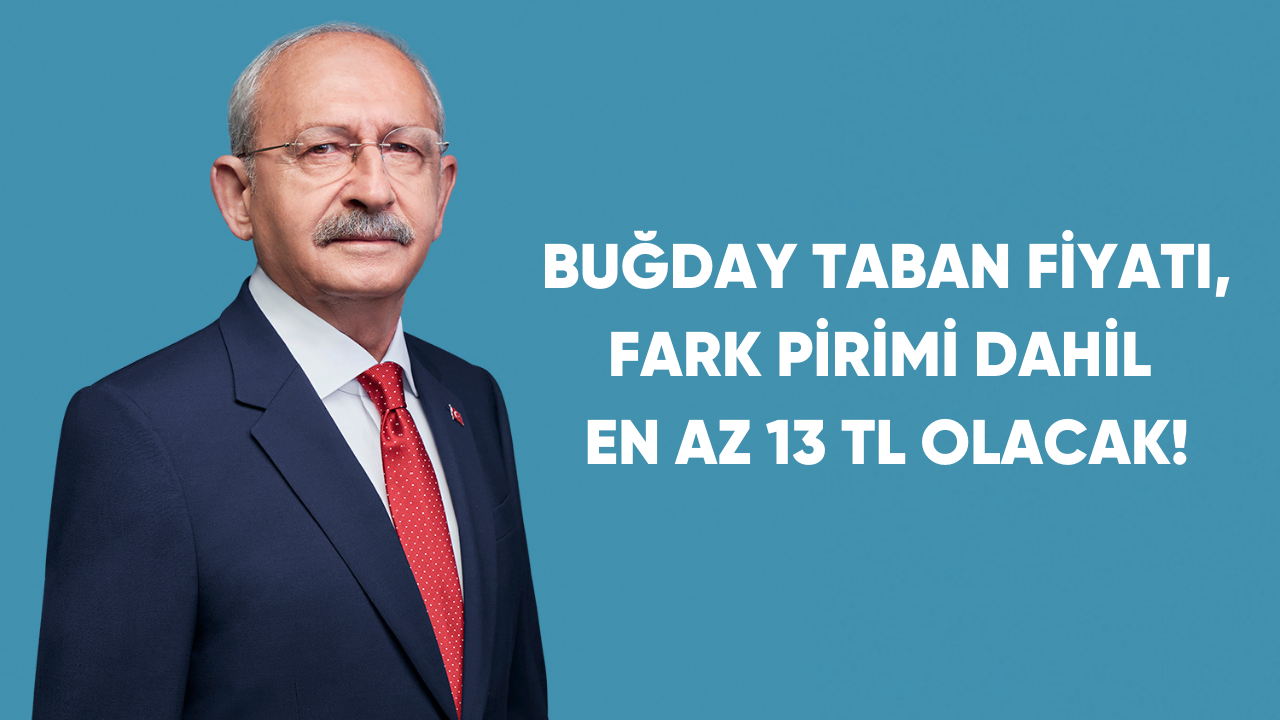 Çiftçiler dikkat! Buğday taban fiyatı 13 TL olacak!