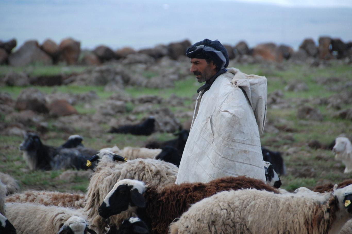 Ayda 40 bin TL kazandırıyor! Eleman bulunamıyor