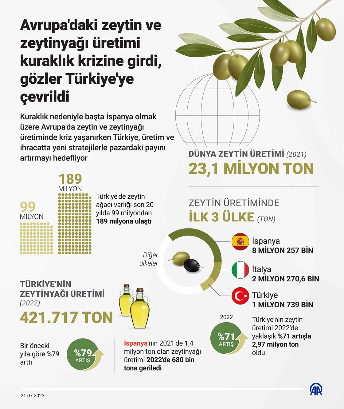 Zeytin üretiminde korkutan gelişme! 1 litre zeytinyağı 350 TL ye, zeytin kg 400 TL ye çıkabilir!