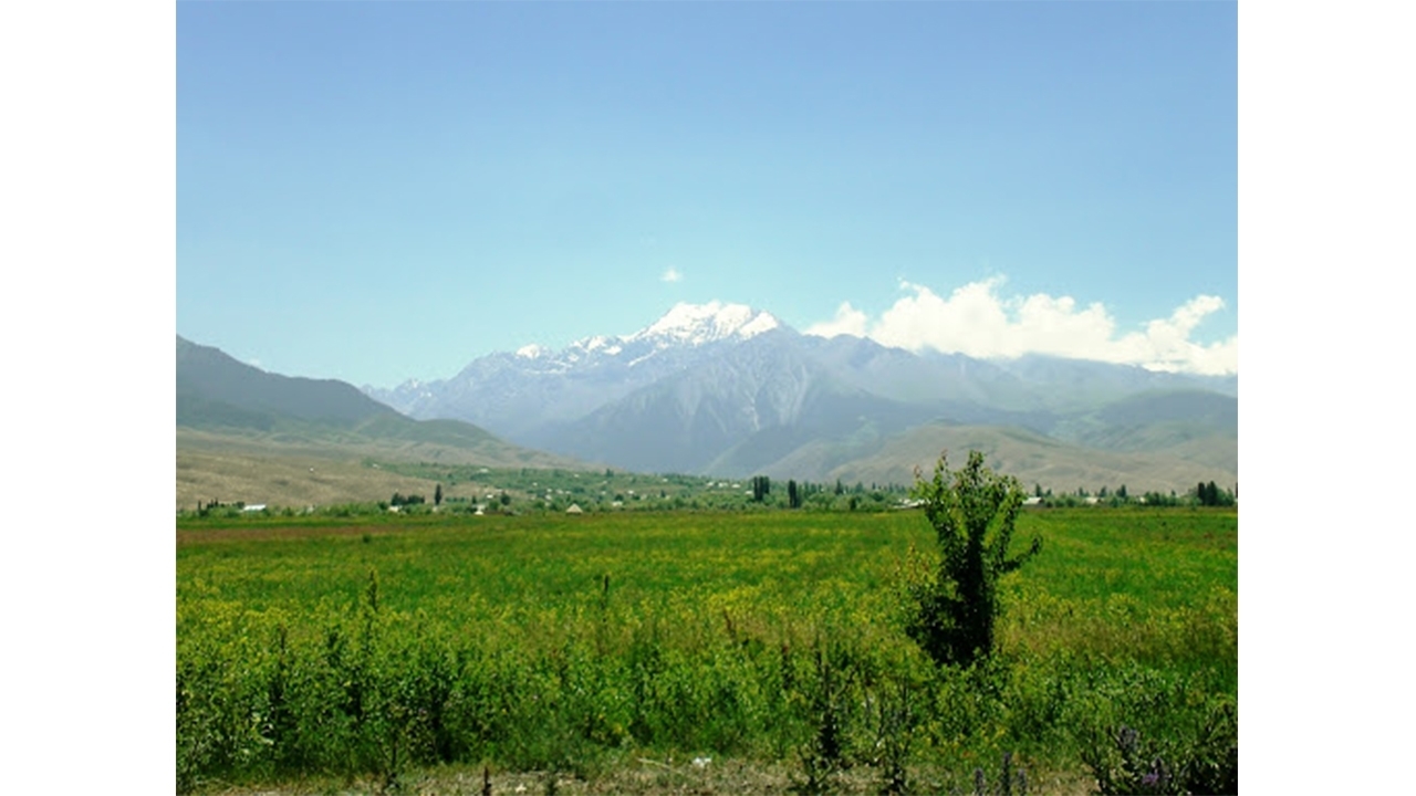Kırgızistan-Özbekistan sınırında arazi kavgası